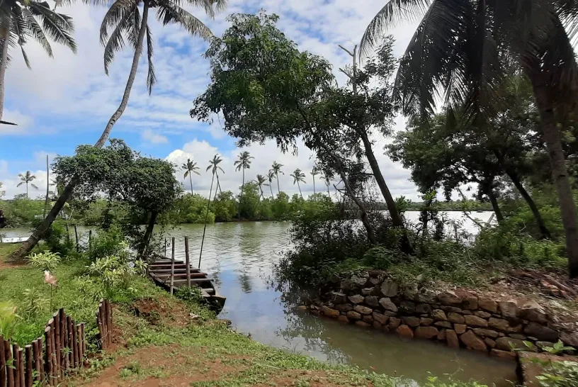 Mangrove forest boat cruise and local village trip in Kerala